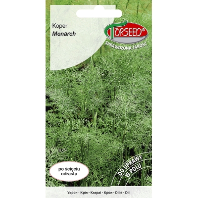 KOPER OGRODOWY MONARCH Odrasta po ścięciu nasiona